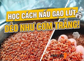 Cách Nấu Gạo Lứt Mềm Dẻo, Không Khô – Bí Quyết Đơn Giản
